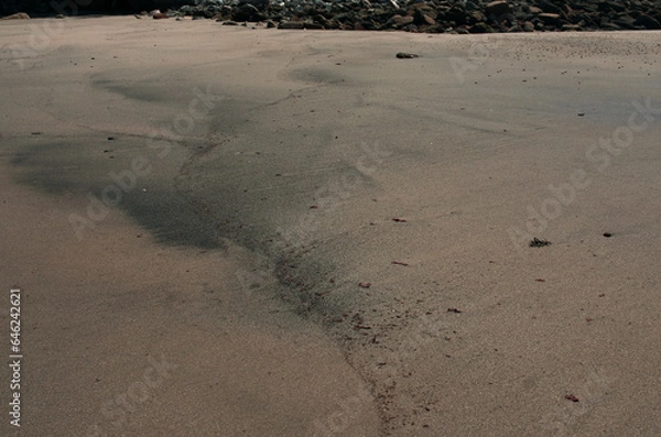 Fototapeta 砂の浜辺、そこにはまるで見知らぬ世界が広がっている。広大な草木の未だ育たない岩石や岩や砂礫だけの原初の地球、時には不毛の大平原のようでもあり、母なる水を蓄えた優しく美しい地球の表面のようでもある。またある時には、地球の奥底を覗いているような恐れ、おののき、うめき声すらも聞こえてくる。混沌とした世の中、地球温暖化という重大な危機を迎え、この母なる地球が、今、悲鳴を上げている。私たちは何をなすべきか。