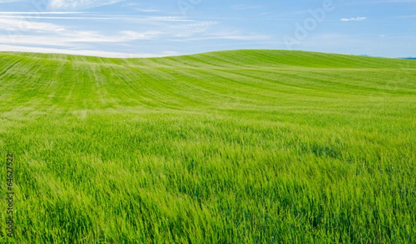 Fototapeta Cascada verde