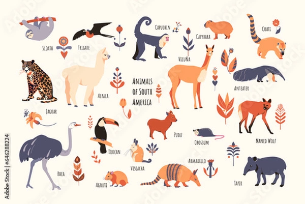 Fototapeta Set of South American animals with floral elements and captions. Simple vector style, beige colors.