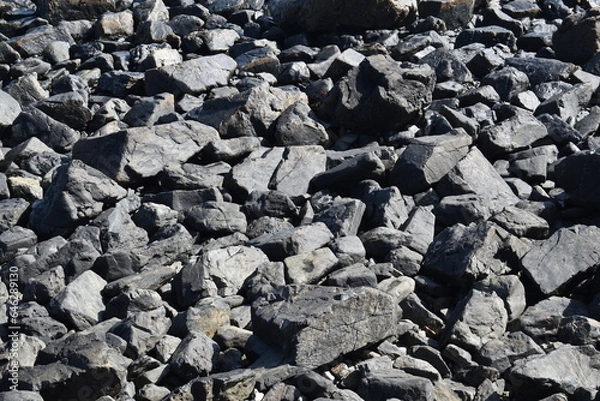 Obraz stones on the beach