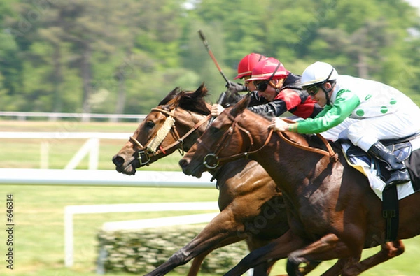 Obraz Konie wyścigowe