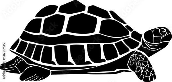 Obraz Desert Tortoise icon 2