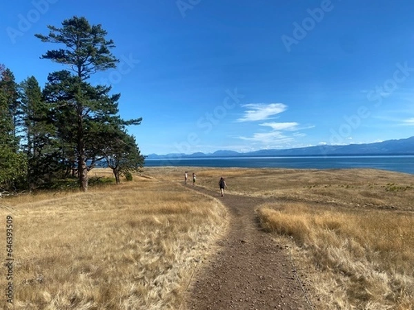 Fototapeta People hiking along a beautiful  coastline trail on Hornby Island.  Views are from a trail in Helliwell Provincial Park, on a scenic sunny summer day in the Gulf Islands, British Columbia.