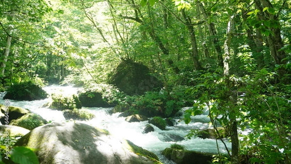 Obraz 奥入瀬渓谷の濁流