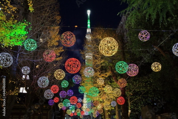 Obraz 東京スカイツリーと牛嶋神社のイルミネーション