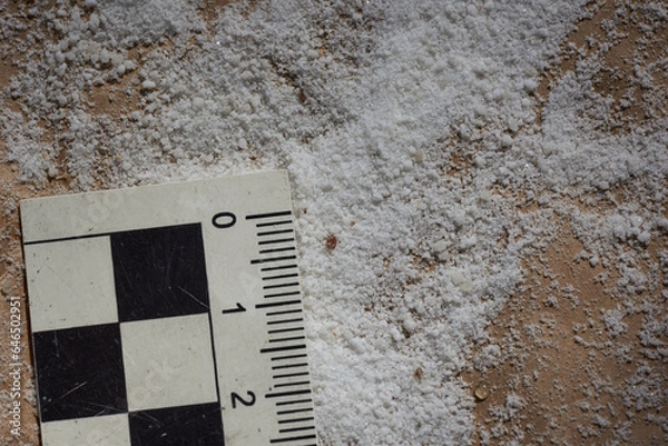 Fototapeta Varroamilbe die mit der Puderzuckermethode gewonnen wurde