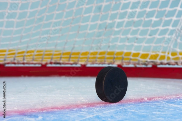 Fototapeta Hockey in front of goal net