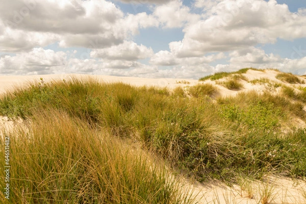 Obraz Råbjerg Mile, Danimarca