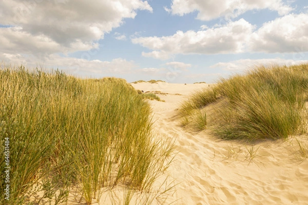 Obraz Råbjerg Mile, Danimarca