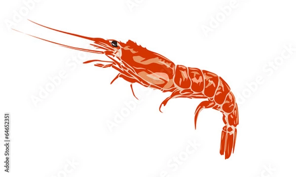 Obraz えび イラスト