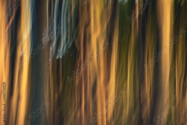 Obraz background with flowing lines