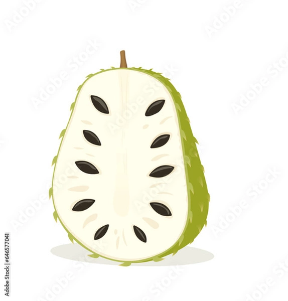 Obraz Vector soursop, guanabana or graviola cut fruit isolated on white background