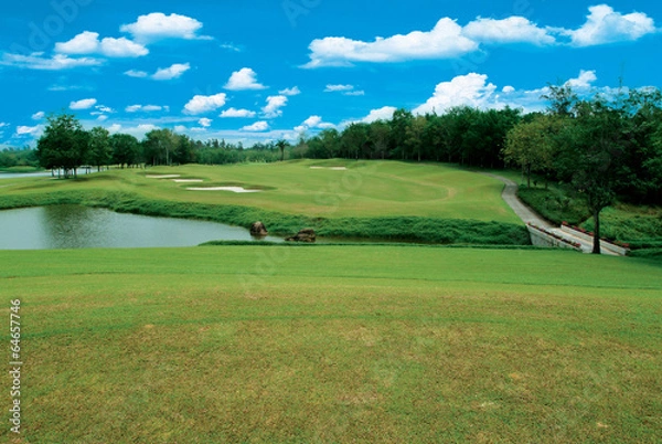 Fototapeta 그린 골프링크스