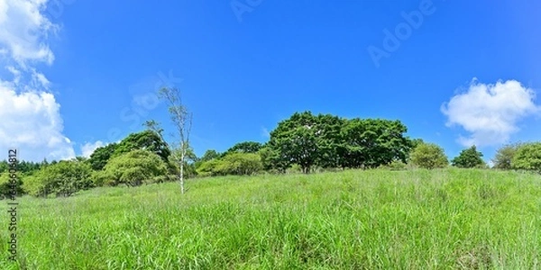 Fototapeta 青空バックに見る夏の車山高原の情景