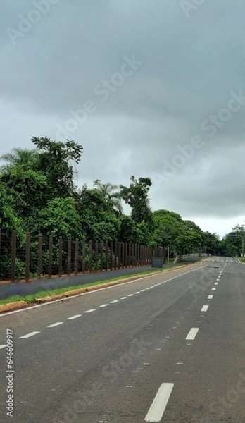 Obraz road in the park