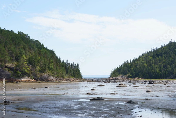Obraz river in winter