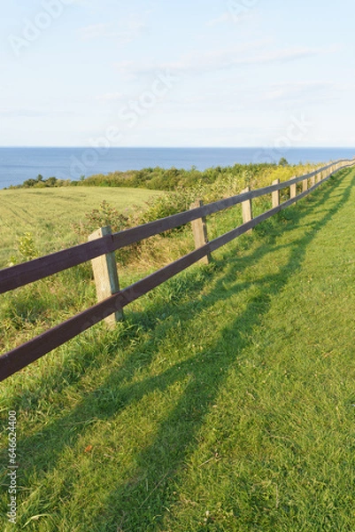 Obraz landscape with fence