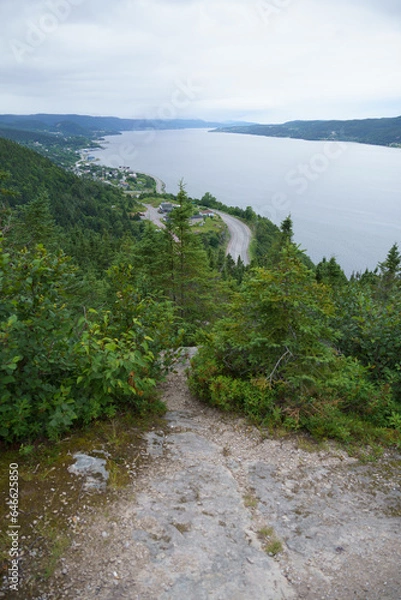 Obraz river in the mountains