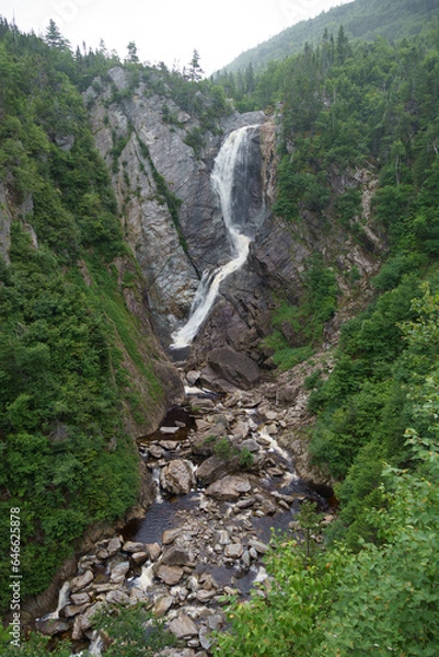 Obraz waterfall in the forest
