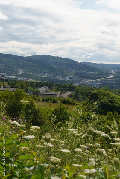 Obraz view from the mountain