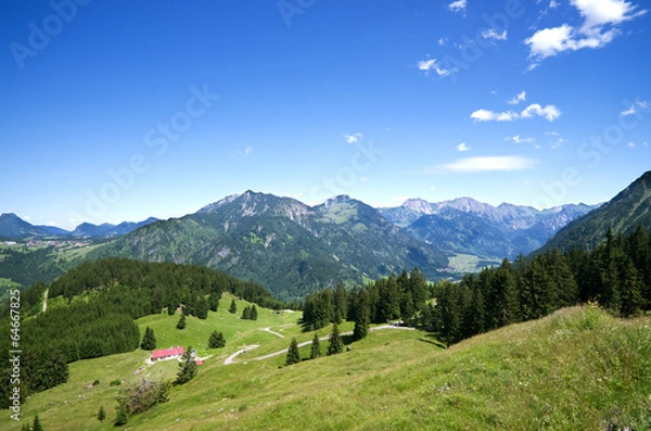 Obraz alpine meadow allgau germany
