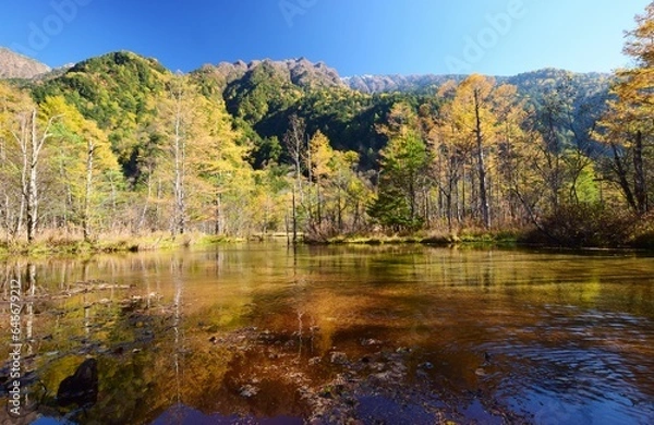 Obraz 盛秋の上高地　田代池
