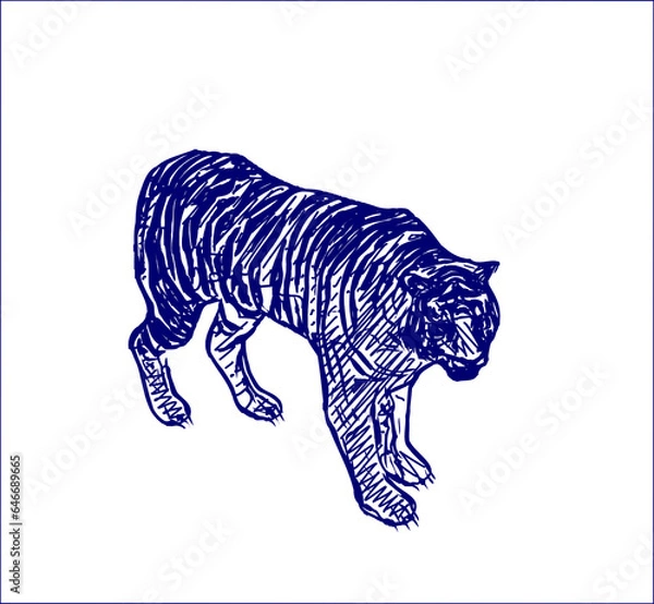 Fototapeta sketch of a tiger with a transparent background