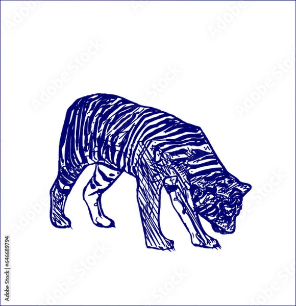 Fototapeta sketch of a tiger with a transparent background