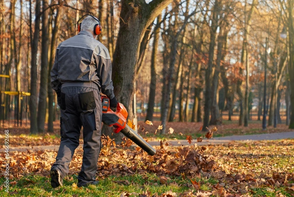 Fototapeta Anonymous male municipal worker cleaning up resting area in autumn day. Back view of man wearing overalls and earmuffs using leaf blower equipment, working outdoor. Concept of seasonal work.