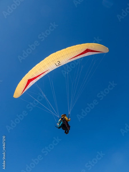 Obraz Paraglider