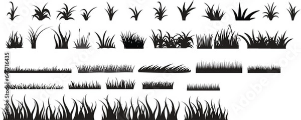 Obraz grass isolated silhouettes set collection