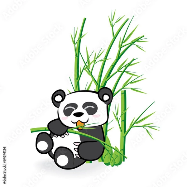 Obraz Panda 02