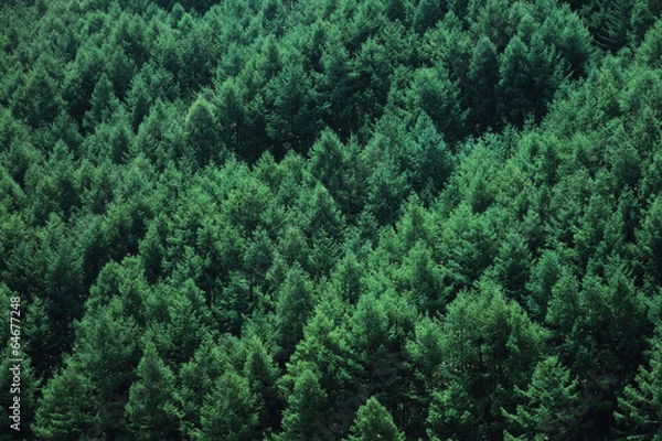 Obraz 아름다운 계절의 변화