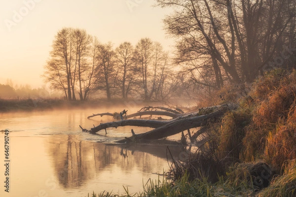 Obraz Wschód słońca 6