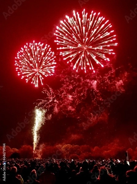Fototapeta A rear view of a crowd of people standing in the dark watching fireworks explode overhead in a red sky. 