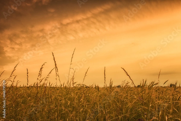 Obraz Zachód słońca 2