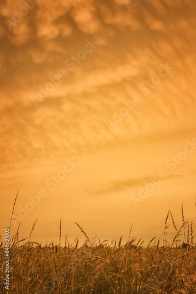 Obraz Zachód słońca 3