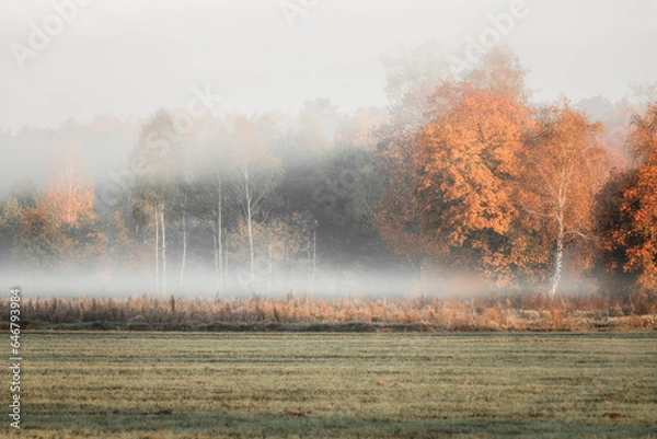 Obraz Jesienne mgły