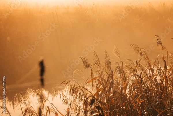 Obraz wschód słońca