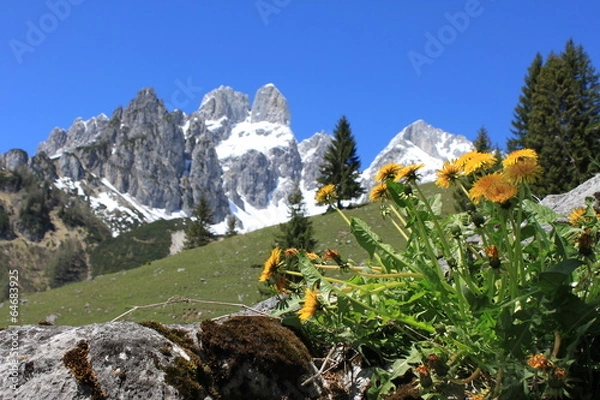 Fototapeta Bischofsmütze 9
