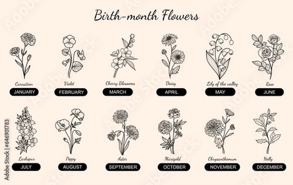 Obraz 12 Birthmonth Flower Hand-drawn Collection, Rose, Carnation, Violet, Poppy, Holly, Daffodil