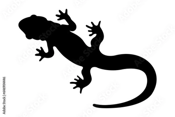 Fototapeta Gecko lizard or salamander silhouette. Vector illustration