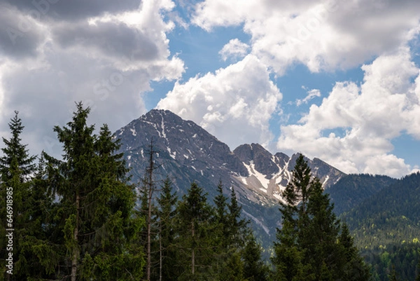 Obraz View over green fir trees to Thaneller mountain with white clouds and blue sky