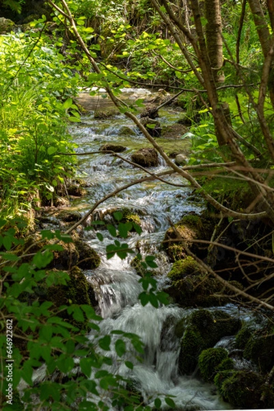 Obraz Small creek in the mountains