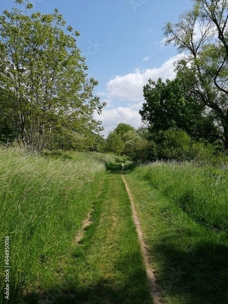 Fototapeta Ausruhen bitte
