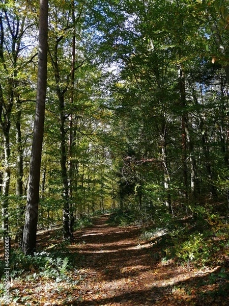 Fototapeta Ausruhen bitte