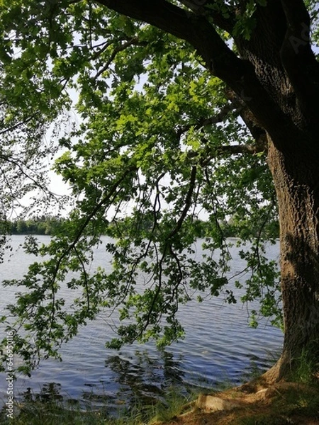 Fototapeta Ausruhen bitte