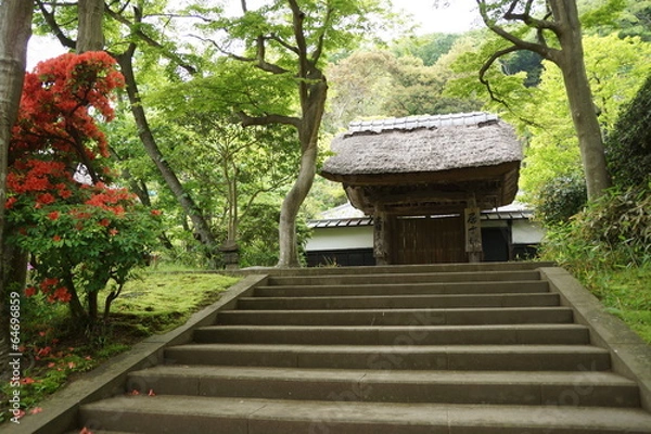 Obraz 新緑の円覚寺居士林