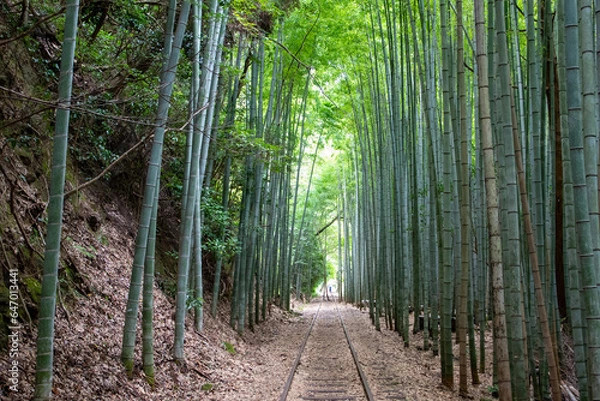 Obraz 旧国鉄倉吉線廃線跡