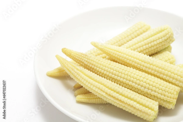 Obraz 皿にのった白背景のヤングコーン